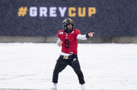 Hamilton Tiger-Cats confirm Dane Evans will start at quarterback in Sunday’s Grey Cup