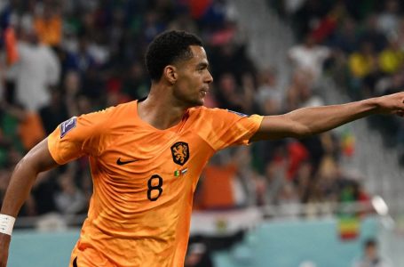 Cody Gakpo strikes as Netherlands claim late win over Senegal at World Cup